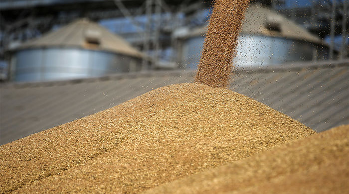 Минсельхоз доработает механизм квотирования экспорта зерна