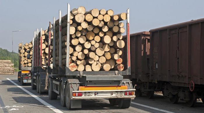 Правительство РФ изменило оформление документа на перевозку древесины