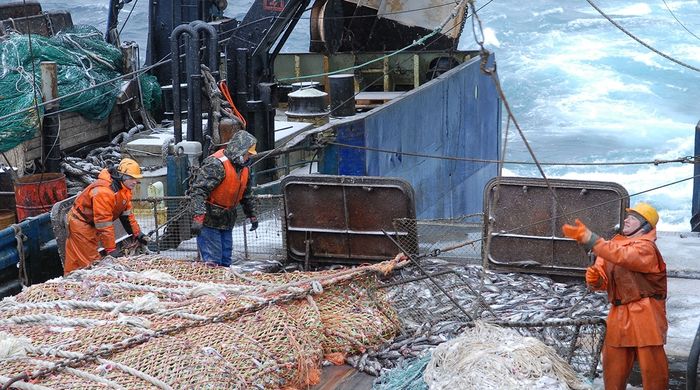 Российские рыбопромышленники просят отложить вступление в силу требования о декларировании судов