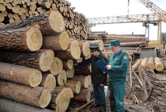 Таможня в Чите выявила контрабанду древесины на сумму более 83 млн руб.