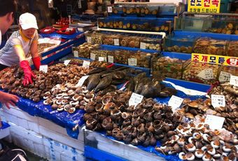 РФ отменила запрет на импорт живой рыбы и экзотических животных из Китая