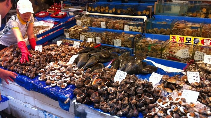 РФ отменила запрет на импорт живой рыбы и экзотических животных из Китая