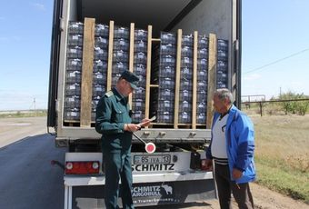 Перевозчики будут оформлять СНТ при транспортировке товаров между Казахстаном и ЕАЭС