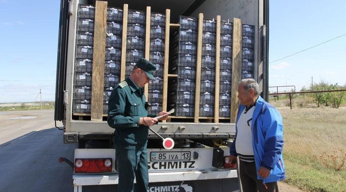 Перевозчики будут оформлять СНТ при транспортировке товаров между Казахстаном и ЕАЭС
