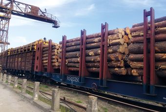 Россия отказалась от временных деклараций на вывоз древесины из ЕАЭС