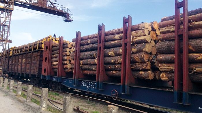 Россия отказалась от временных деклараций на вывоз древесины из ЕАЭС