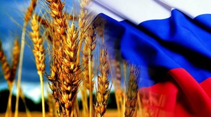 Из России на экспорт в Китай отправится зерно