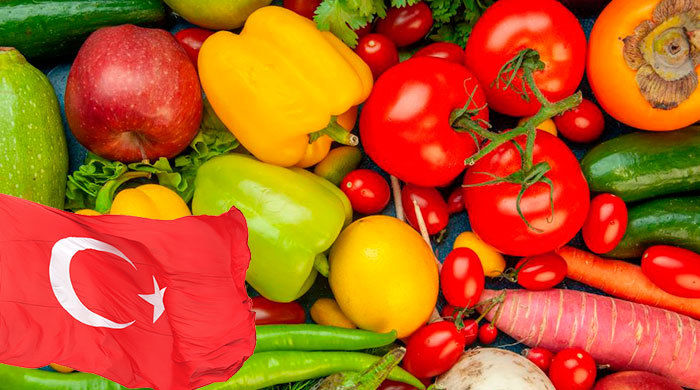 Роспотребнадзор отменил запрет на ввоз в РФ турецких овощей и фруктов